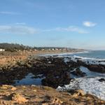 Cambria_0236 (November 02, 2013)
